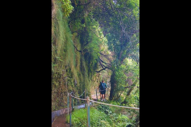 Madeira: Wet your hair in the amazing Levada Nova / Moinhos - Practical tips for a smoother day