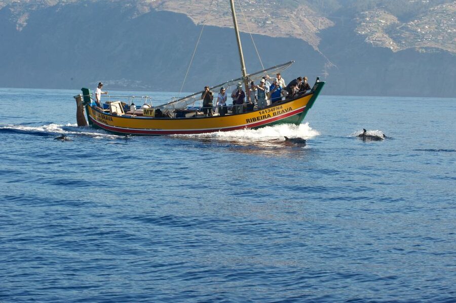 Madeira: Whale Watching Excursion in a Traditional Vessel - The first stretch brings Madeira’s coast into view