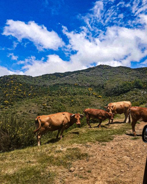 Madeira Wild West 4X4 Tour Safari - Ribeira da Janela and Madeira’s northern coast