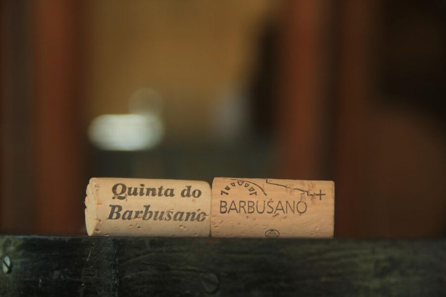 Madeira: Wine & Tapas, Cabo Girão Skywalk 4x4 Jeep Adventure - Quinta do Barbusano: wine with a view