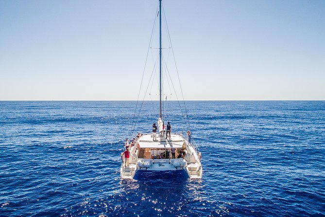 Magic Dolphin Celebrity - Key Points Before You Book
