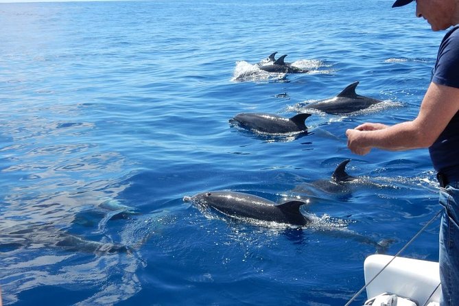 Magic Dolphin Celebrity - Leaving Funchal for the Atlantic