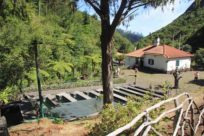 Magnificent East Tour - Ponta de São Lourenço brings a drier, wilder edge