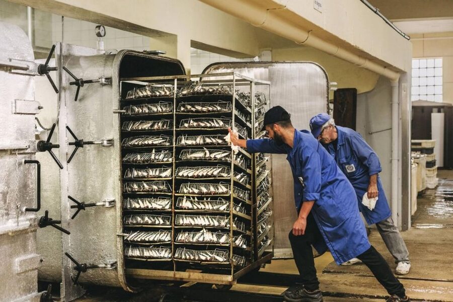 Matosinhos: Conservas Pinhais Factory Tour - Why a sardine cannery is worth your time