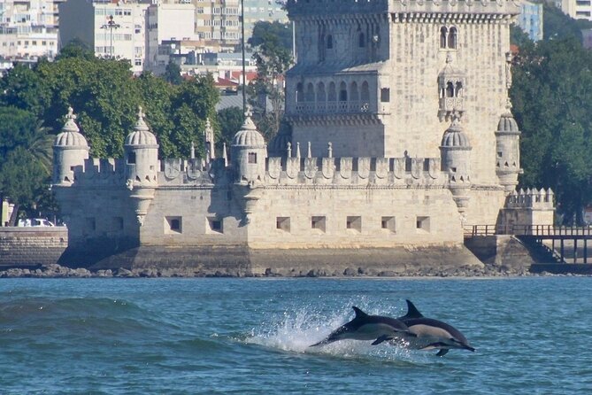 Meet the Lisbon Dolphins - Dolphin Watching in Lisbon - The return past Belém’s famous sights