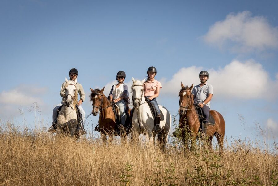 Melides: Horse Riding on the Beach with Wine Tasting - Key points at a glance