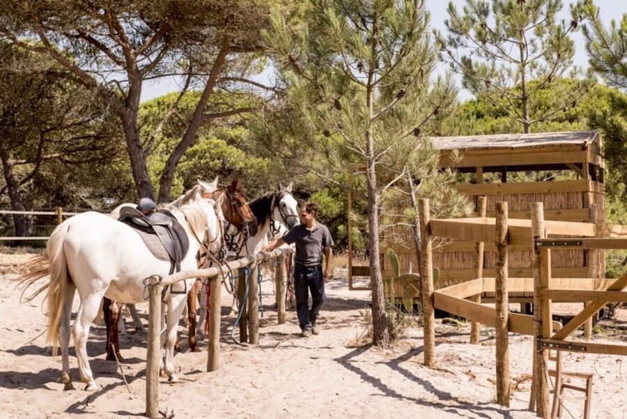 Melides: Horse Riding on the Beach with Wine Tasting - Riding from the dunes into the pine forest
