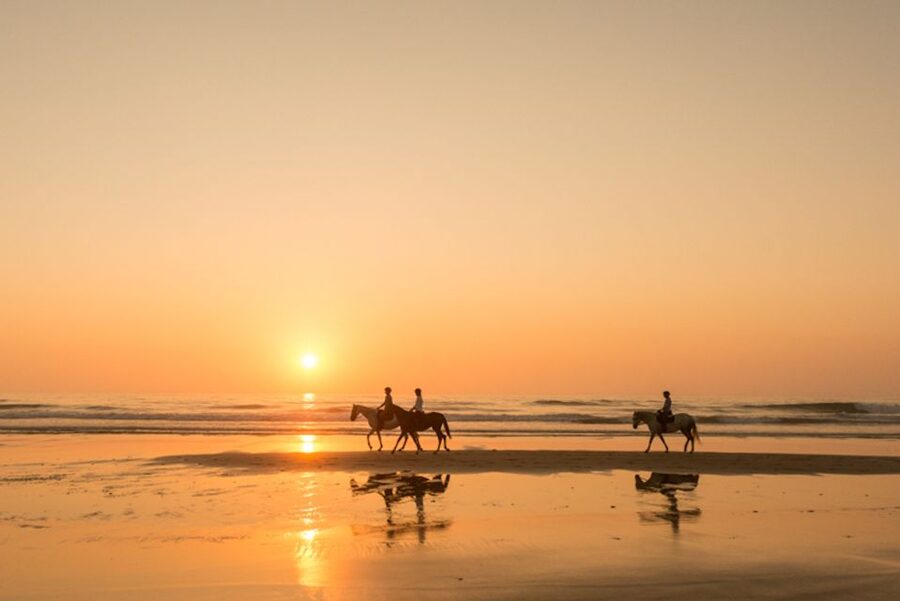 Melides: Horse Riding on the Beach with Wine Tasting - Looking for birds near Melides lagoon