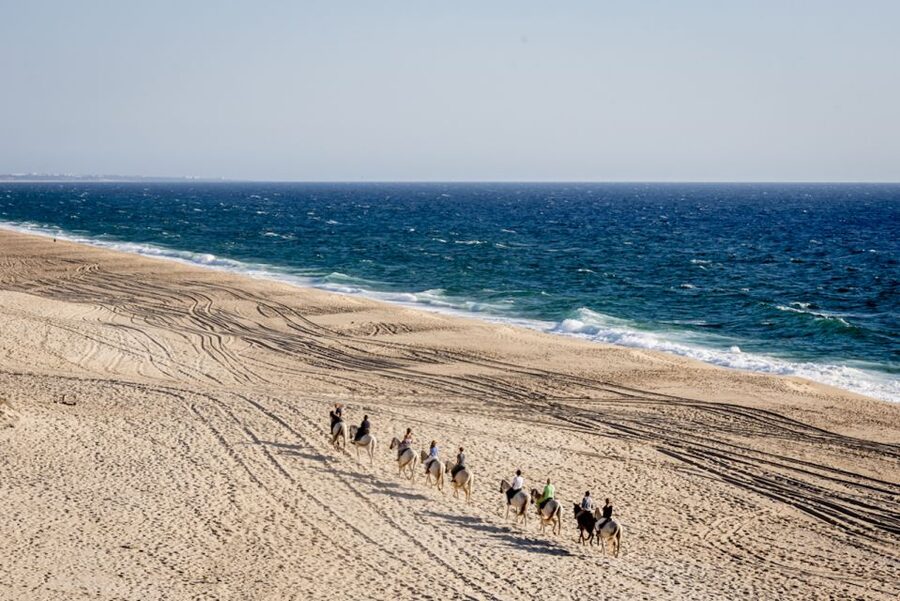 Melides: Horse Riding on the Beach with Wine Tasting - Price, distance, and the real value