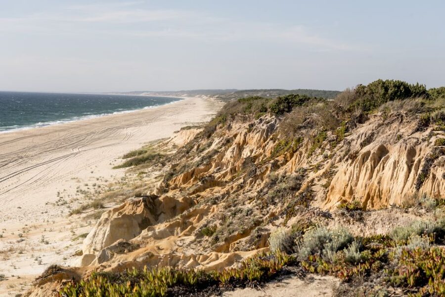 Melides: Horse Riding on the Beach with Wine Tasting - Who will enjoy this Melides ride