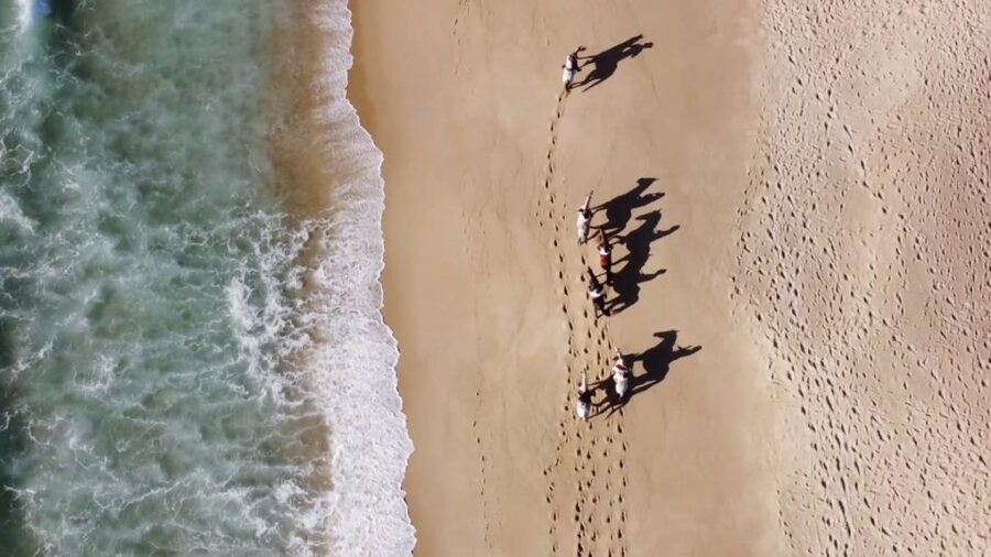 Melides: Horseback Riding on Melides Beach - Key points to know before booking