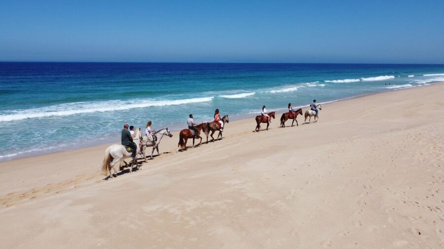 Melides: Horseback Riding on Melides Beach - From Horses by the Beach into the Atlantic forest