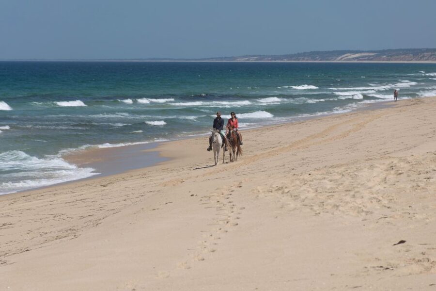 Melides: Horseback Riding on Melides Beach - Safety, equipment, and comfort