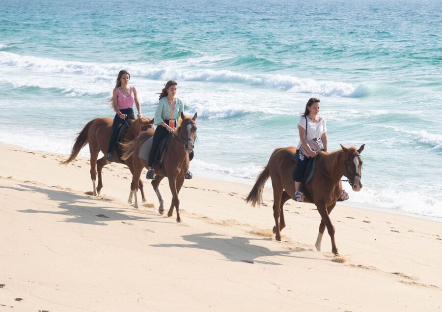 Melides: Horseback Riding on Melides Beach - How much value do you get for $76?