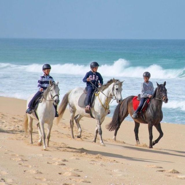 Melides: Horseback Riding on Melides Beach - The guide makes the difference