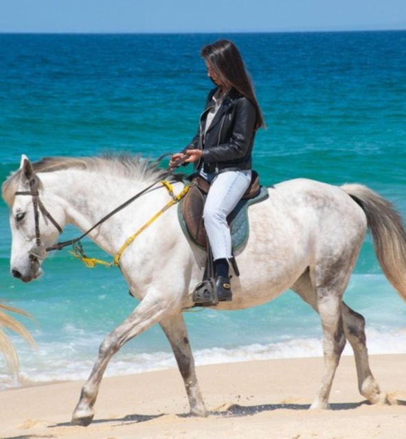 Melides: Horseback Riding on Melides Beach - Booking details worth keeping in mind
