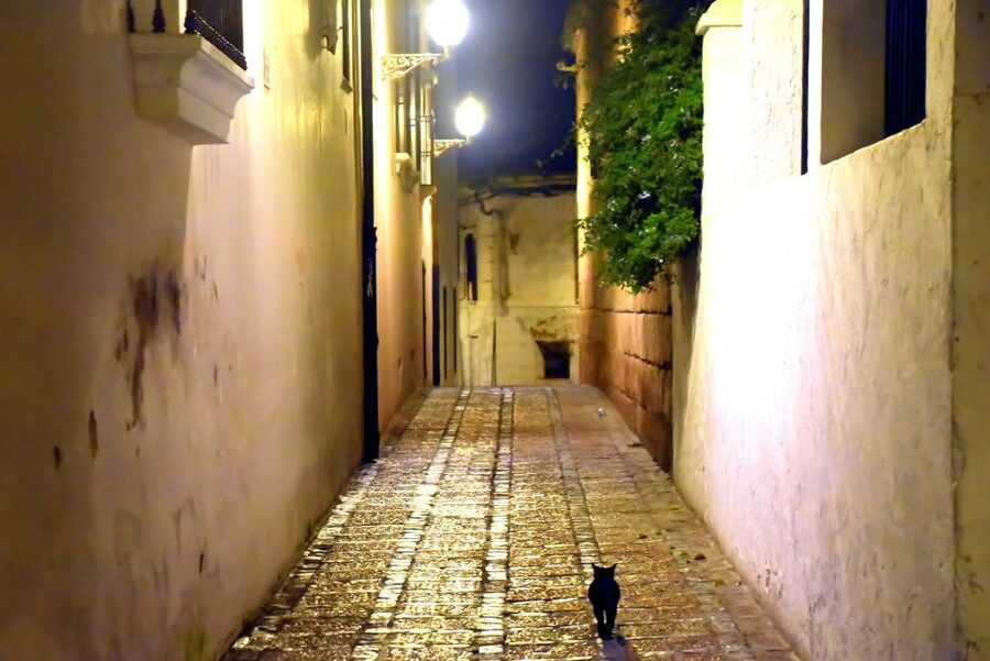 Merida: Legends and Mysteries Night Tour - Ancient convents and mysterious temples