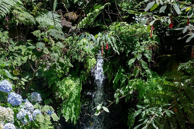 Monte Palace Tropical Garden tour with Cable Car - Walking through Monte Palace Tropical Garden