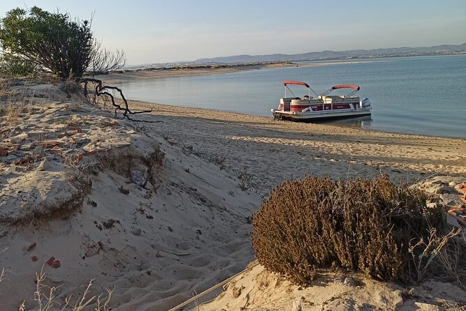 Nature Catamaran Tour from Faro - Why Ria Formosa makes a good short boat trip