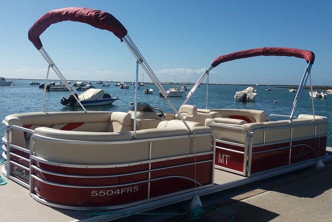 Nature Catamaran Tour from Faro - Who will enjoy this catamaran ride?