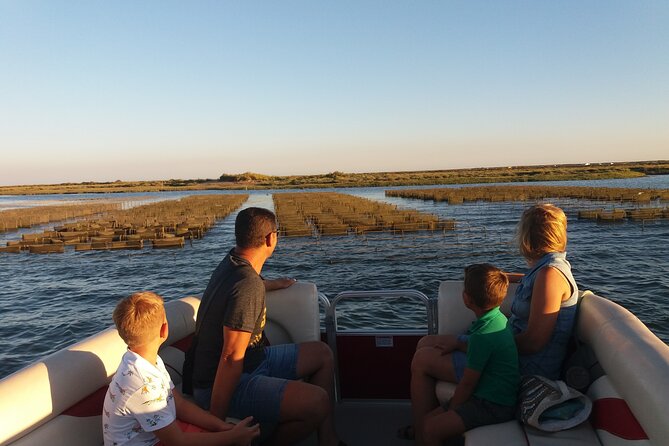 Nature Catamaran Tour from Faro - The 3:30 pm departure and late-day light