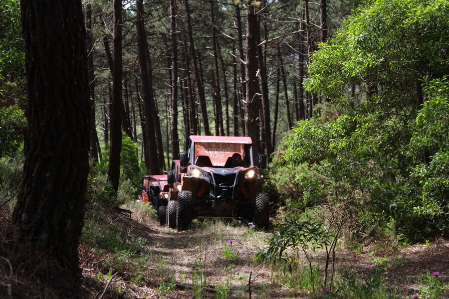 Nazaré: 4x4 Buggy Tour with Guide - Guides make the biggest difference