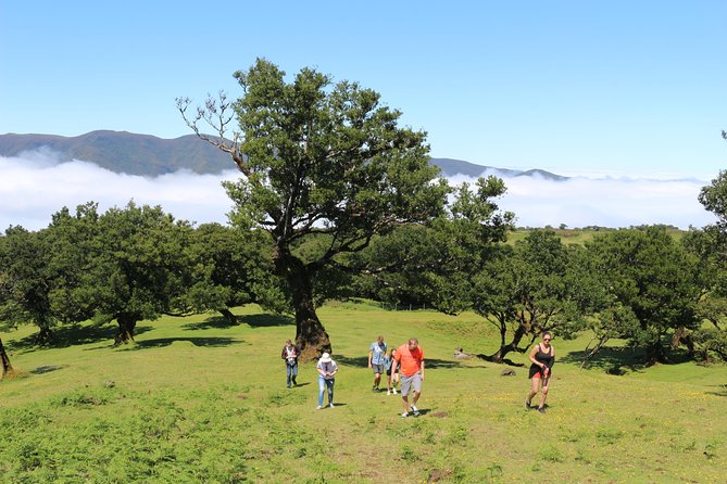 Northwest Terraces and Volcanic Pools 4x4 Full Day Tour - Ribeira da Janela’s rock formations and viewpoints
