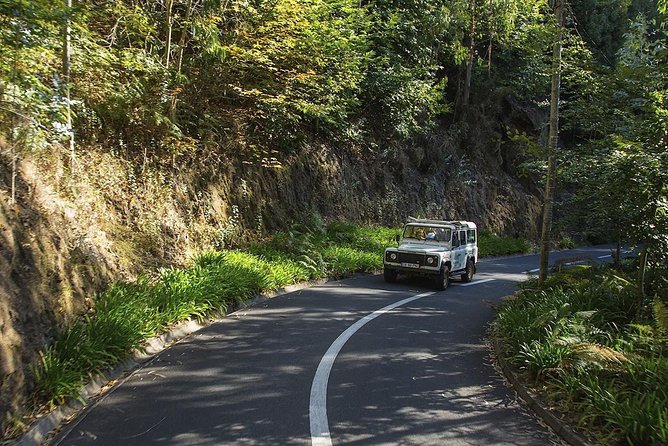 Nun's Valley & Sea Cliff - Half Day - Shared Tour - Câmara de Lobos in a 20-minute visit