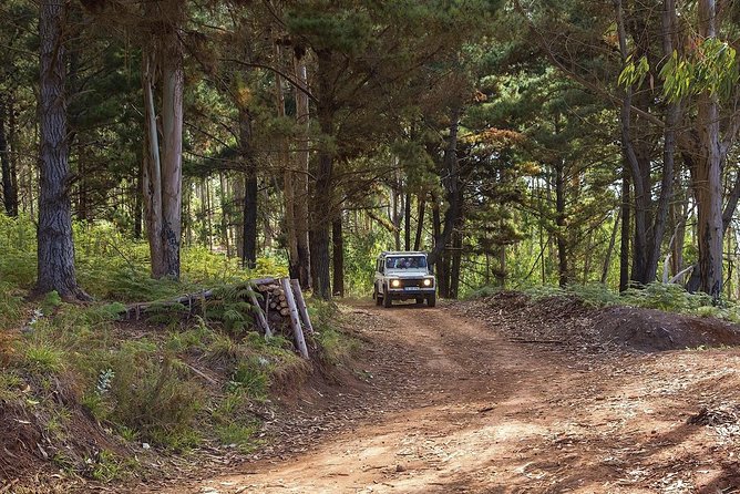 Nun's Valley & Sea Cliff - Half Day - Shared Tour - Is $56.47 good value?