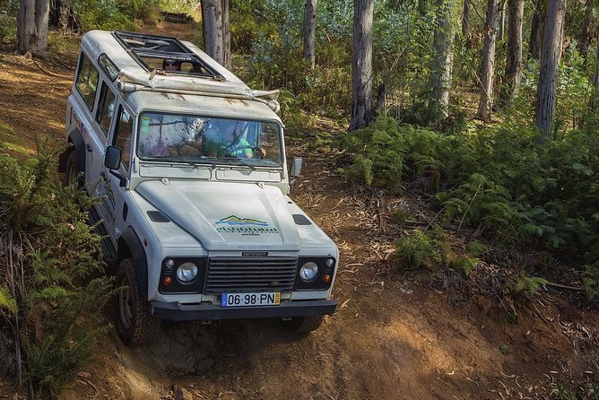 Nun's Valley & Sea Cliff - Half Day - Shared Tour - From Funchal pickup to the mountain roads