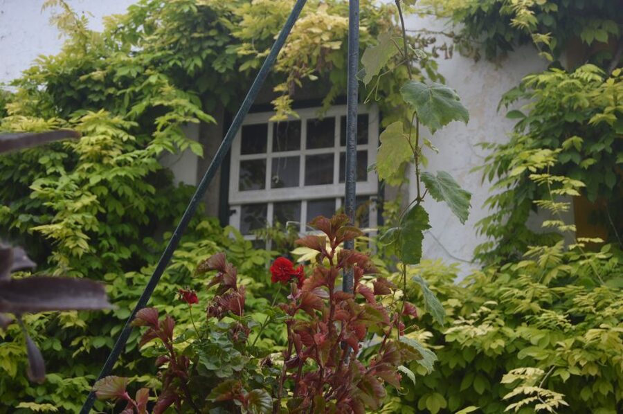 Óbidos: Medieval Tales & Secrets Spots Guided Walking Tour - Outside-the-walls walking and the best photo chances