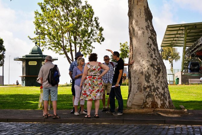 Old Funchal Walking Tour - The market and the working side of Funchal