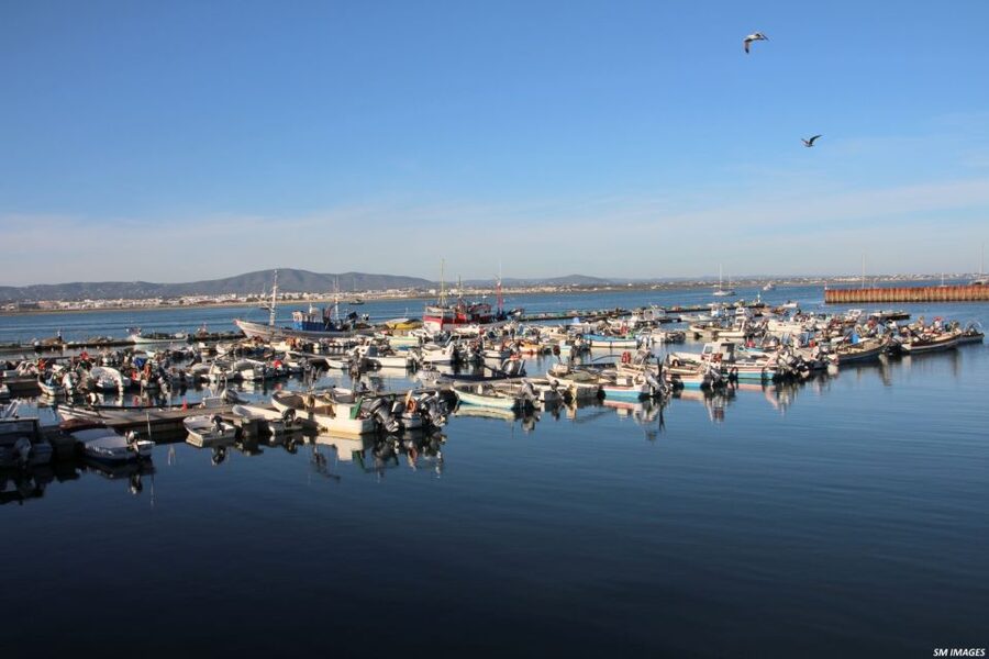 Olhão: 3 Islands Guided Sightseeing Tour with Lunch - Practical advice before you go