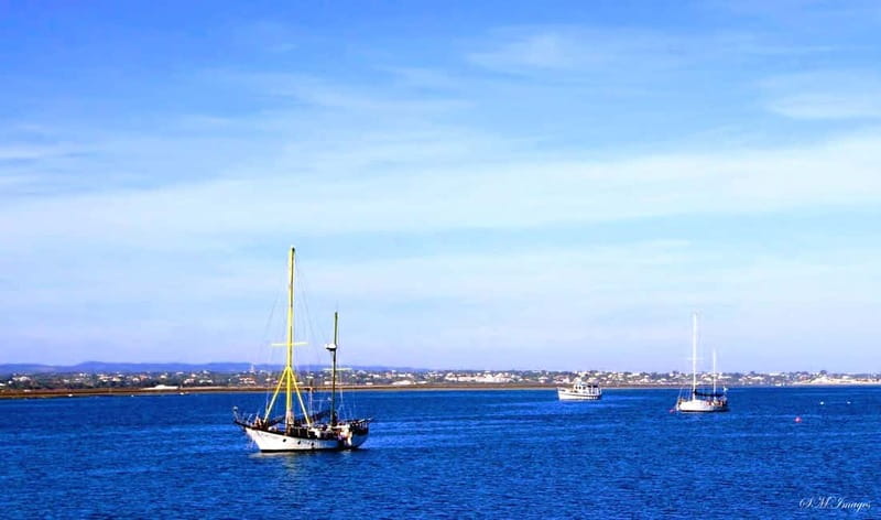 Olhão: Ria Formosa 3 Islands Guided Day Trip by Boat - Farol Island and the final island views