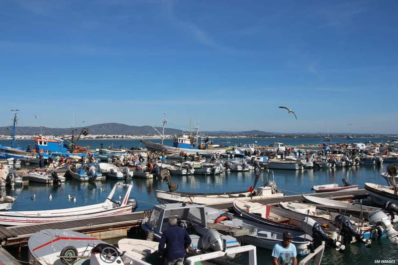 Olhão: Ria Formosa 3 Islands Guided Day Trip by Boat - The sunset version is a different tour