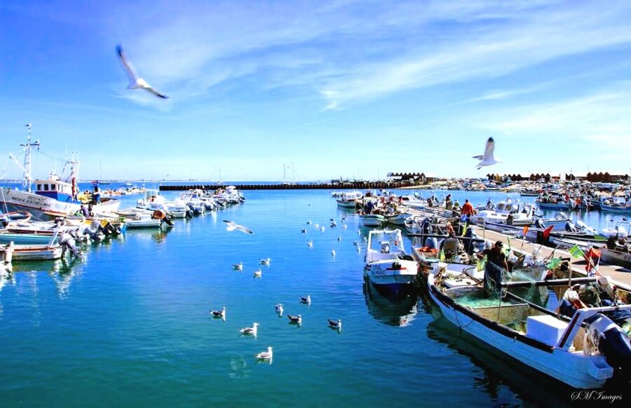 Olhão: Ria Formosa 3 Islands Guided Day Trip by Boat - What the guide adds