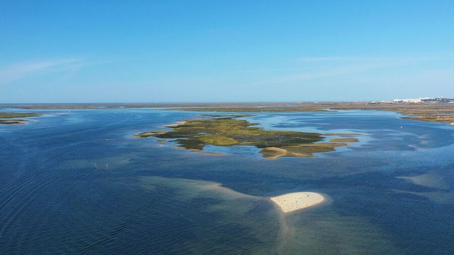 Olhão: Ria Formosa National Park Boat Cruise - Practical Tips For A Better Day