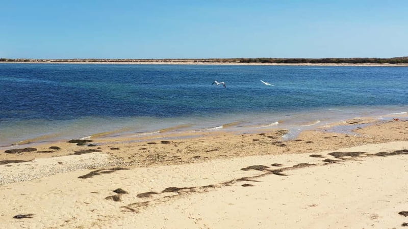Olhão: Ria Formosa National Park Boat Cruise - The Return Route To Olhão