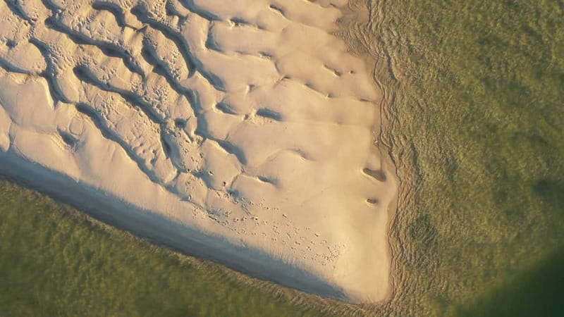 Olhão: Ria Formosa National Park Boat Cruise - Shared Cruise Or Private Boat?
