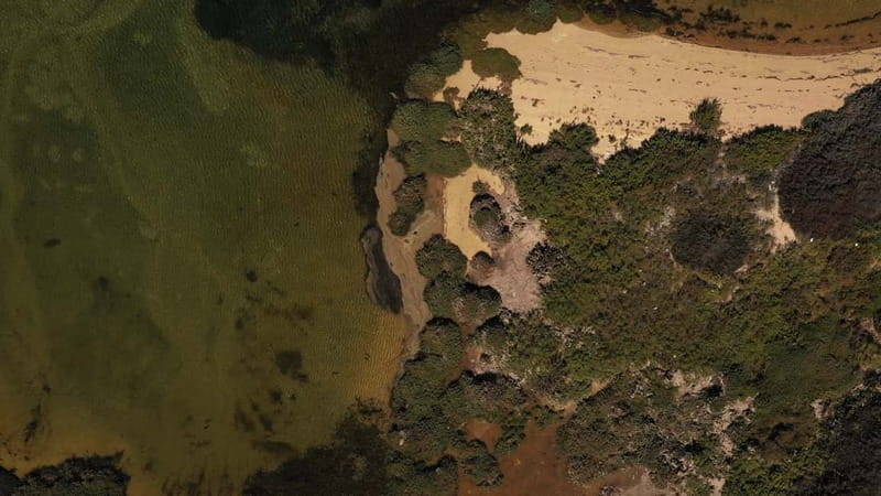 Olhão: Ria Formosa National Park Boat Cruise - Who Will Enjoy This Olhão Cruise?