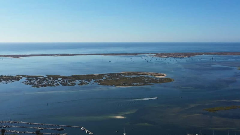 Olhão: Ria Formosa National Park Boat Cruise - Armona Island Or Desert Beach In Summer