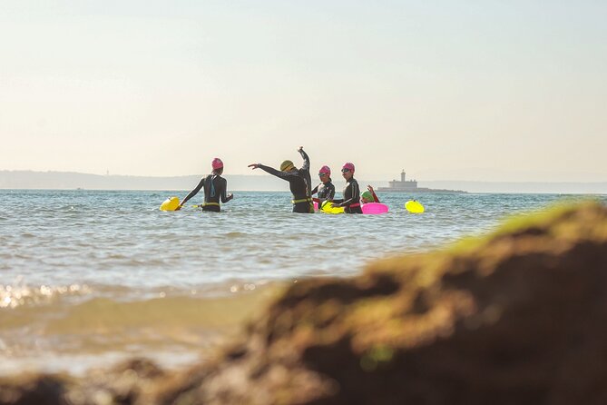 Open-Water Swimming in Cascais - Swimming along Cascais Bay