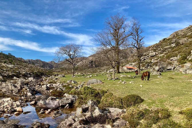 Peneda-Gerês Hiking & Sightseeing: Private Experience - Pickup from Braga, Porto, or Guimarães