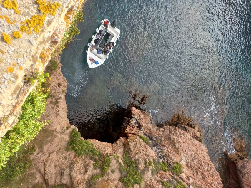 Peniche: Berlengas Island Round-Trip Ferry with Island Stop - Key points to know before you go