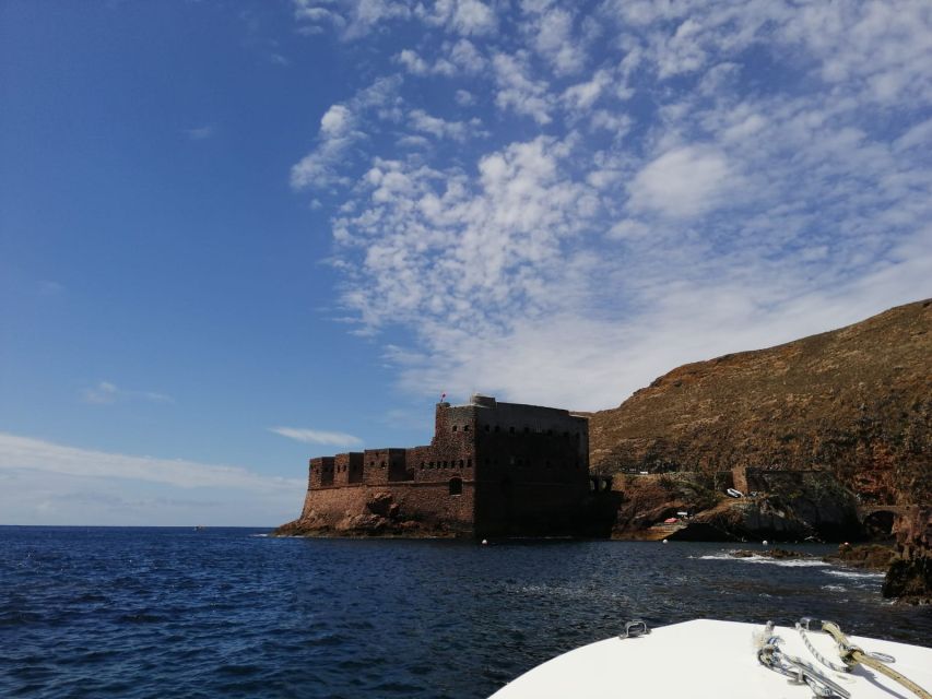 Peniche: Berlengas Island Round-Trip Ferry with Island Stop - Why the Berlengas ferry is worth your half-day