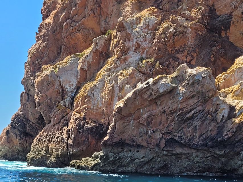 Peniche: Berlengas Island Round-Trip Ferry with Island Stop - A little food and free time on the island