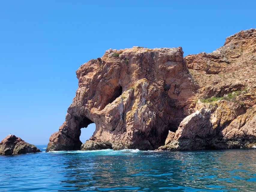 Peniche: Berlengas Island Round-Trip Ferry with Island Stop - Who will enjoy this island trip most