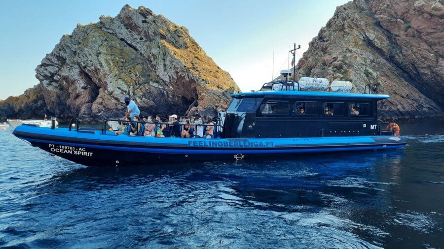 Peniche: Berlengas Island Trip, Hiking and Cave Tour - Is the $46 Price Good Value?