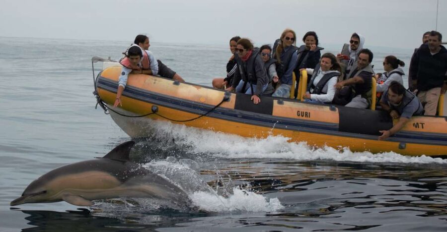 Peniche: Dolphin Route Boat Trip - The strongest part of the experience: crew and comfort