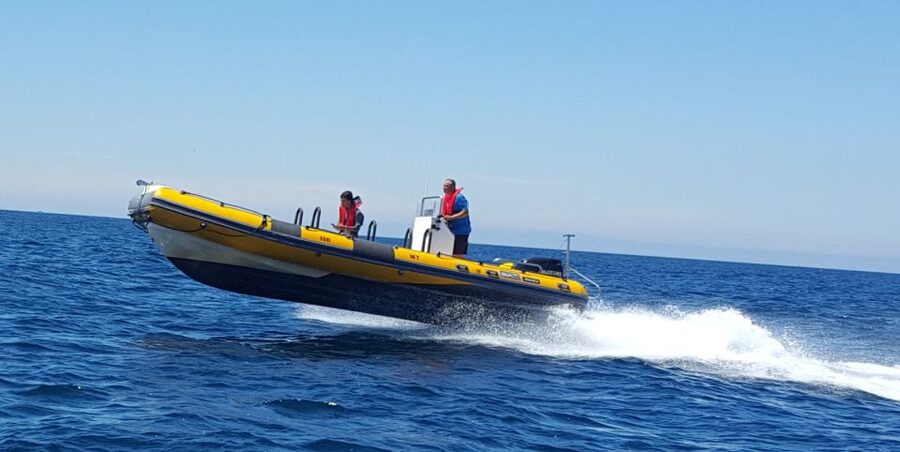 Peniche: Dolphin Route Boat Trip - Booking flexibility and timing